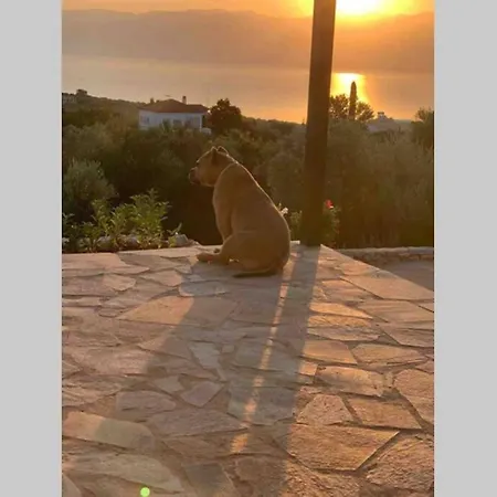 Messinia View House Achladochori (Messenia)