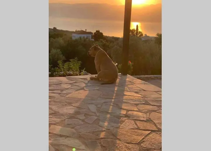 Messinia View House Achladochori (Messenia)